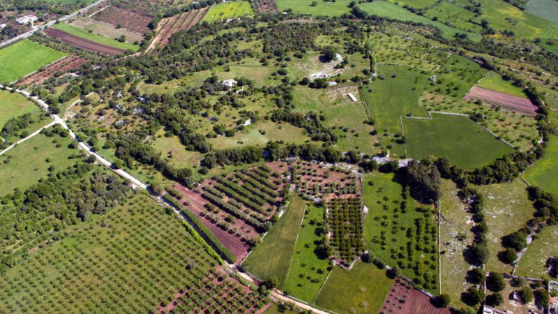 Parco Archeologico di Monte Sannace